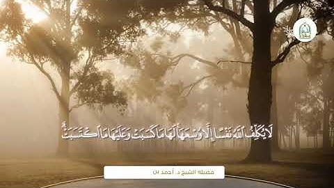 قال رسول الله ﷺ: "من قرأ الآيتين من آخر سورة البقرة في ليلة كفتاه" | #سفراء_الخير