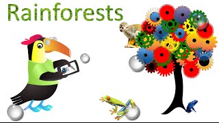 Rainforest : Amazing Facts, sights and sounds : Science Videos for kids