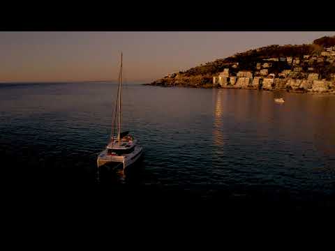 Presenting the Leopard 42