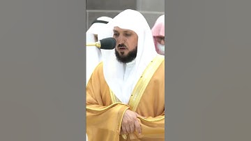 تلاوة خاشعة للشيخ ماهر المعيقلي