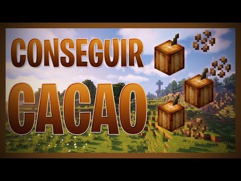 Video: Por Que En Minecraft Cacao En Grano