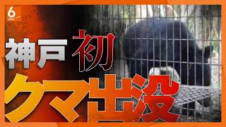 神戸市内で初めてクマ出没を確認　市長「突然繁華街に現れる可能性は低い」
