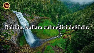 Rabbin, Kullara Zulmedici Değildir. Fussilet Suresi - İslam Subhi
