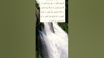 سورة التكاثر #alquran #قرآن_كريم #اكسبلور #المصحف