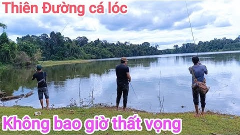 Câu cá lóc_Bãi Thiên Đường lên hàng nướng thật đơn giản @Hữunghị tv