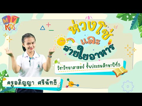 วิทยาศาสตร์ ป.5 | เรื่องห่วงโซ่อาหารและสายใยอาหาร