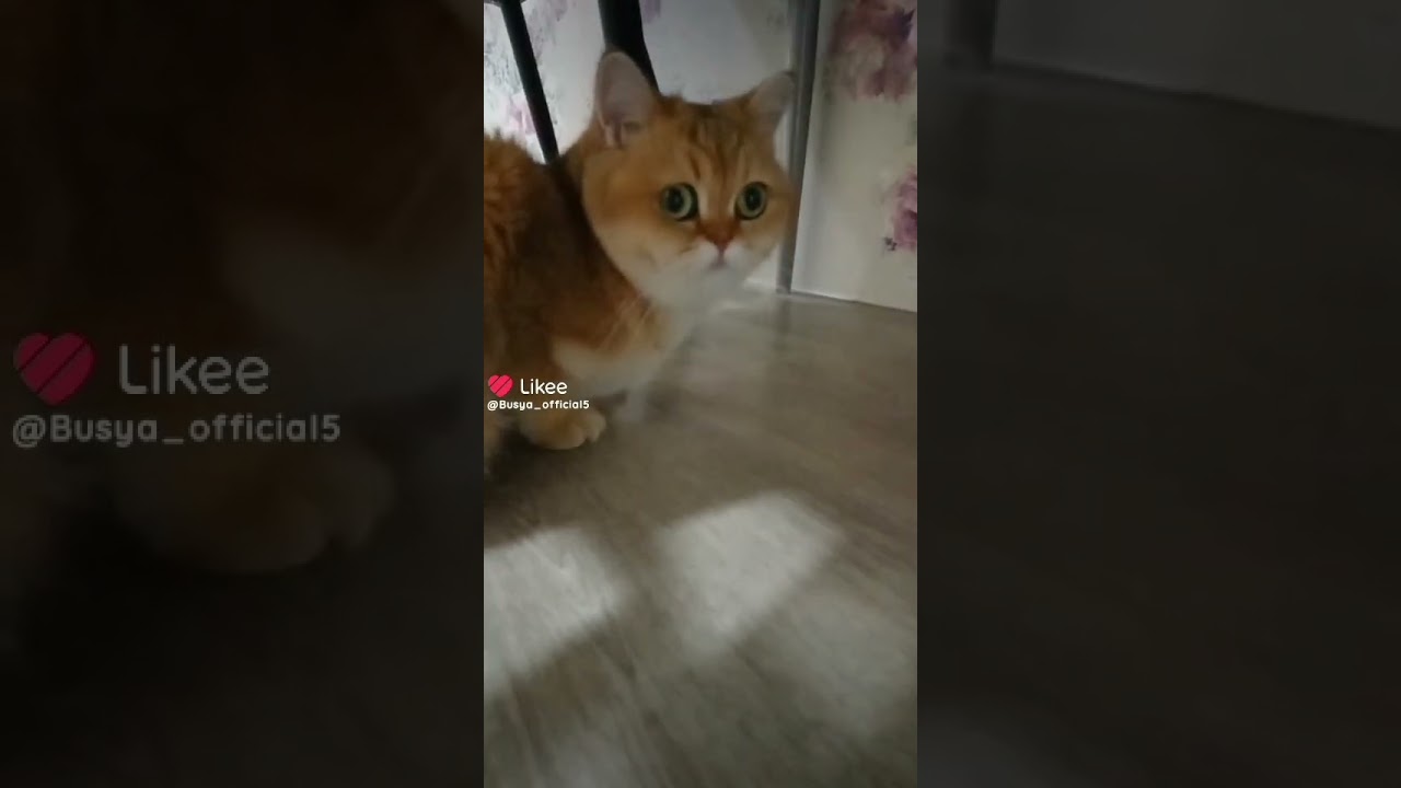 Тг- Наша Бусинка💗 