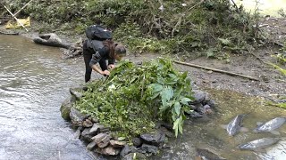 Hunting Wild Fish | Use Primitive Traps To Catch Fish In The River | Primitive Fishing Technique