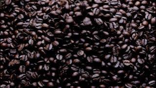 Coffee Beans Caffeine | HD | STOCK WORLD