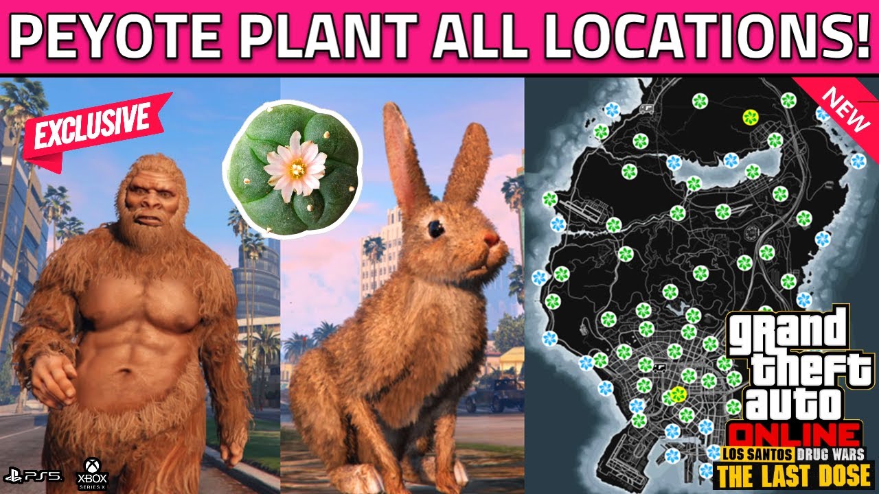 All Peyote Plant Locations In Gta 5 Online 2023 How To Turn Into