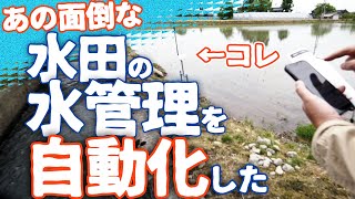 自動化革命【田んぼの水管理】ちょ～面倒な作業をスマホで置き換え！米作り１年生の投稿主がゼロから構築｜近所の人「これは革命だ」｜動画作成の時間が・・・