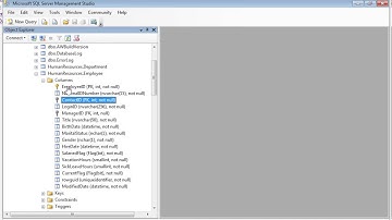 SQL Lab 1 - Exploring AdventureWorks