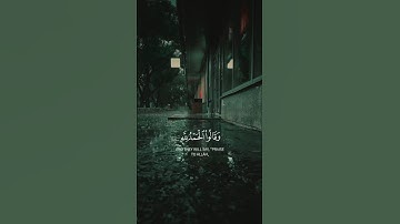 ﴿وَقَالُوا الْحَمْدُ لِلَّهِ الَّذِي هَدَانَا لِهَٰذَا﴾ القارئ الشيخ ياسر الدوسري || سورة الأعراف