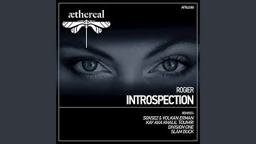 Introspection (Sonsez & Erman Remix)