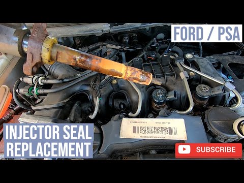 Leaking Injector Seal Replacement Ford / Peugeot / Citroen Diesel TDCI HDI