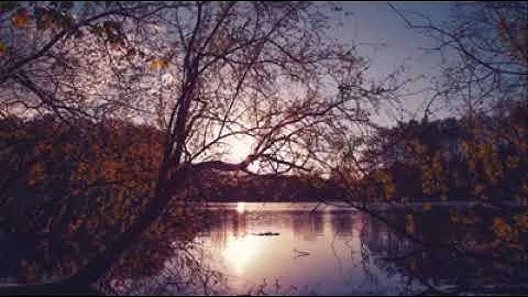 قرآن كريم ارح سمعك سورة طه صوت تخشع له أجمل تلاوة شفاء للقلوب غذاء للروح راحة للنفس🍀💚🍃