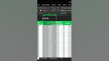 Como Adicionar e Excluir colunas no Excel?