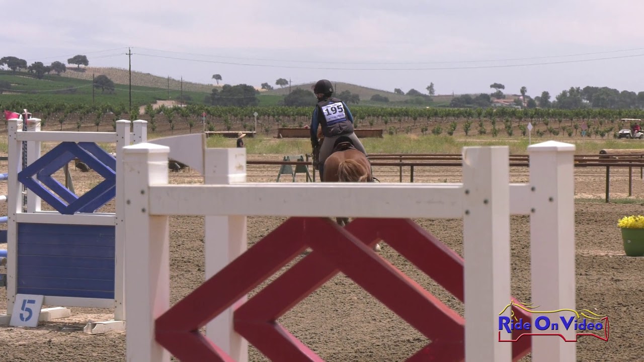 horseshoe bend 195S Tayler Ravenscroft on Taylamor Leonardo Intro Show Jumping Twin Rivers Ranch July 2019