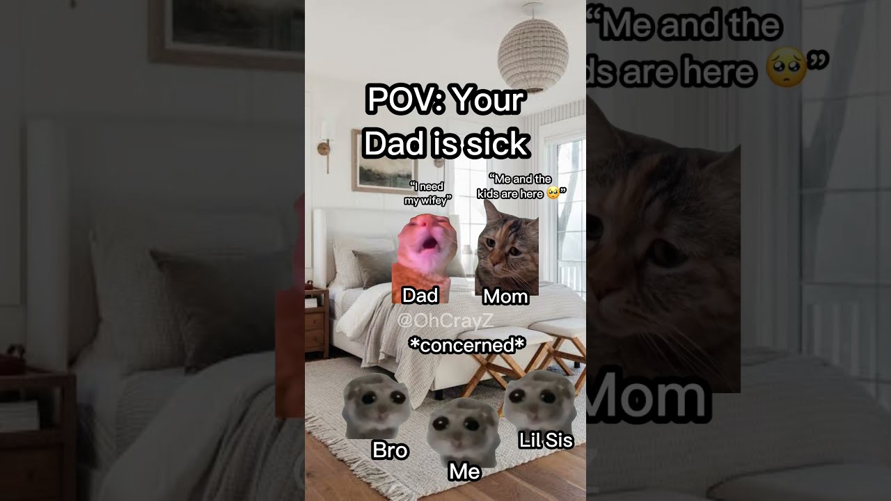 CAT MEMES WHEN DAD GETS SICK Relatable Catmemes Cat Catlover Catvideos