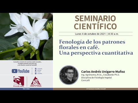 Fenología de los patrones florales en café. Una perspectiva cuantitativa