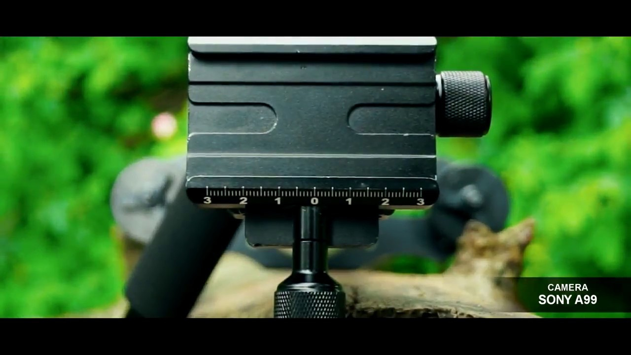 S40 Handheld Steadycam test