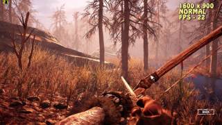 Far Cry: Primal on AMD FirePro M4000 (Elitebook 8570w)