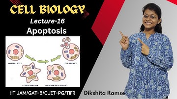 Cell Biology 16 | Apoptosis | IIT JAM Biotechnology