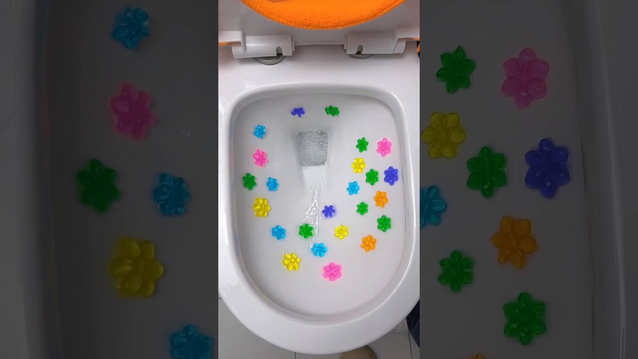 Cute - món đồ hay ho cần thiết khi dùng WC 🤪🚾🙀🥰