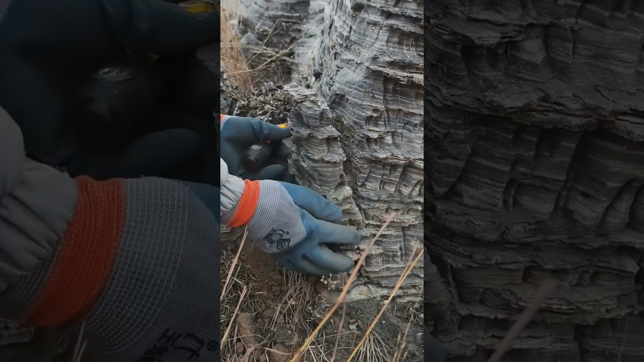 The process of collecting pure natural decorative stones from barren mountains