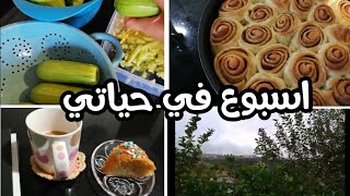 اسبوع في حياة أم لطفلين الطموح ونقر الكوسى /vlog 