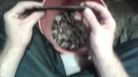 Knapping a slab with indirect percussion (part 2)