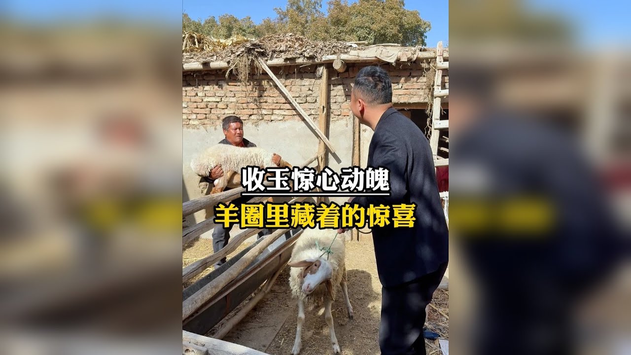 一场惊心动魄的收玉经历，羊圈里藏好东西！