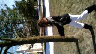 Download Lagu Video #1 hillariuos MP3