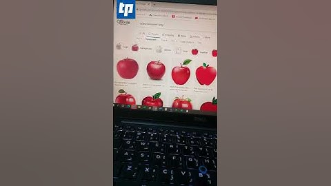 How To Search Transparent Background Images in Google |