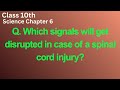 Which signals will get disrupted in case of a spinal cord injury?