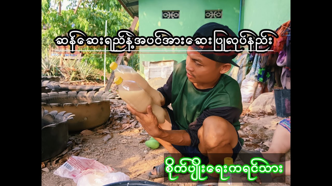 ဆန်ဆေးရည်နဲ့အပင်အားဆေးပြုလုပ်နည်းစိတ်ဝင်စားရင်ဝင်ကြည့်လိုက်ပါ