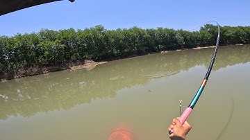 Fishing | Câu Đài | Tập 211 | Câu Rô Phi Tự Nhiên | Nghiện Câu TV