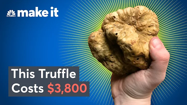 Why White Truffles Cost Up To $75K Per Pound - DayDayNews