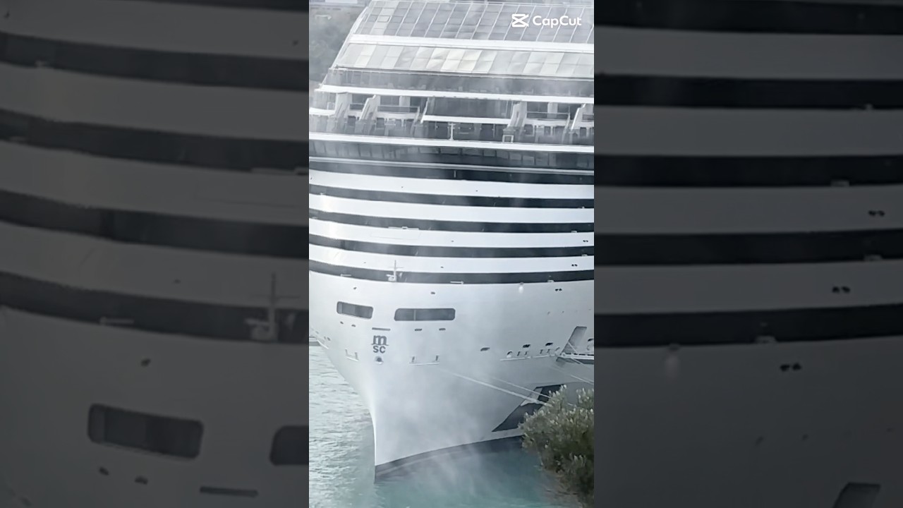 How MSC Ruined a Whole Continent