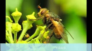 Seal - My Vision (Jakatta Mix Radio Edit)