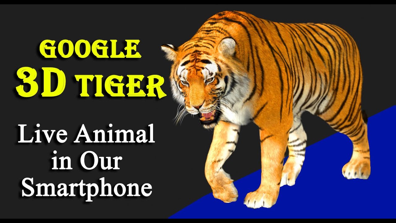 Tiger 3d Tutorial  Live Animals in Your Home Space 