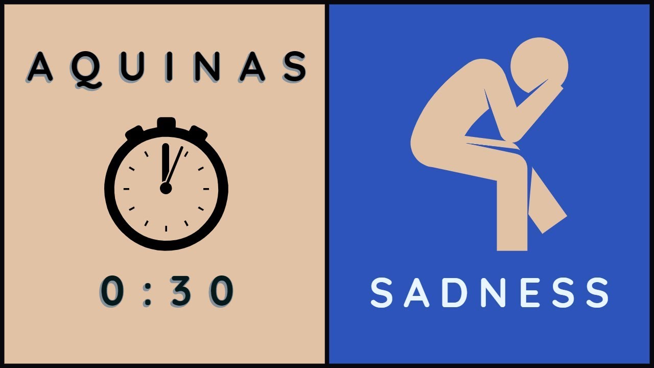 2 Ways of Being Troubled | 30 second Aquinas 2 Ways of Being Troubled | 30 second Aquinas