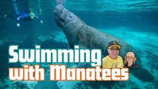 Swimming With Manatee Tour | Snorkel With Manatee at Crystal River | Cuteness Overload by Rix Road Trips 13,610 views 2 years ago 22 minutes