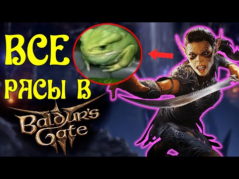 Видео: ВСЕ РАСЫ BALDUR'S GATE 3