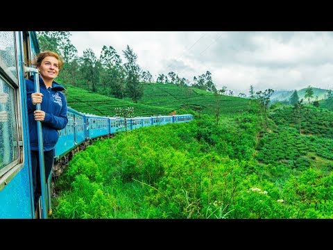 Video: Cea Mai Bună Plimbare Cu Trenul în Noua Zeelandă