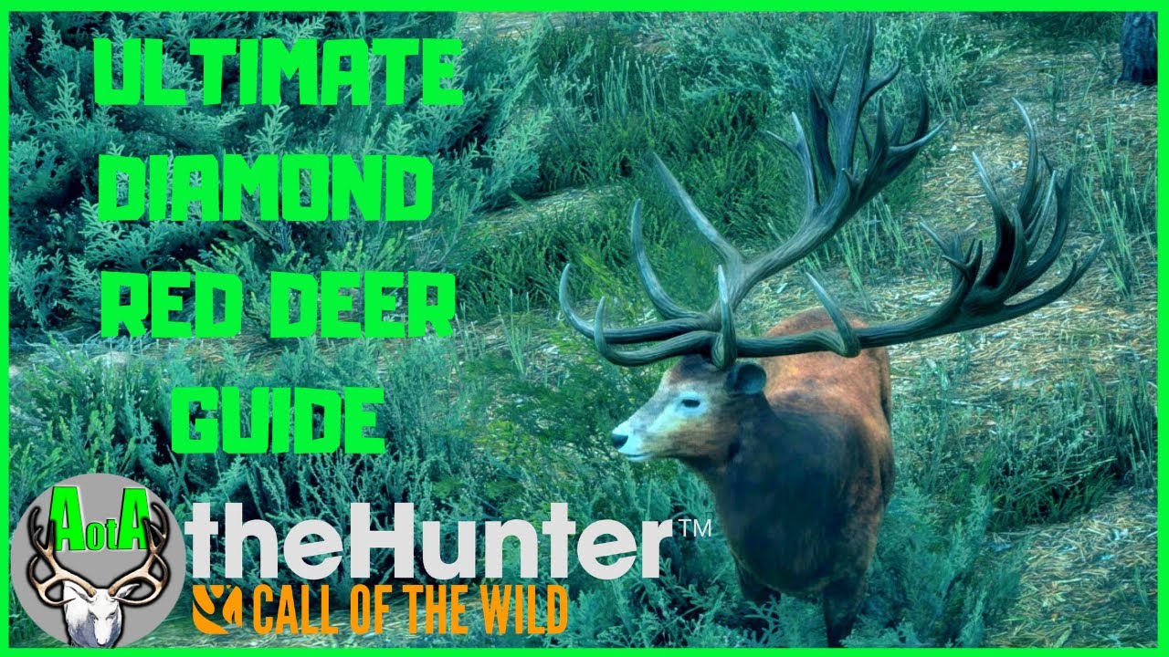 Ultimate Diamond Red Deer Guide (and Water Buffalo) theHunter Call of