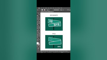 BEGINNER VS PRO in Adobe Illustrator | Tips and Tricks |  S Graphic Design