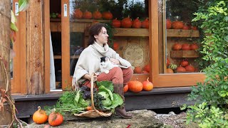 Download Lagu Is a self-sufficient way of living worth it? 5 years into homesteading MP3 Download Lagu Is a self-sufficient way of living worth it? 5 years into homesteading MP3