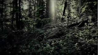 MASTODON - Curl Of The Burl (Pre-Video Clip)