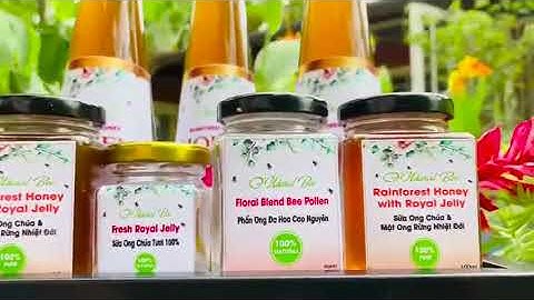 MẬT ONG HOS THIÊN NHIÊN RỪNG NHIỆT ĐỚI Vào Bếp Cùng Nguyễn Phi Hùng